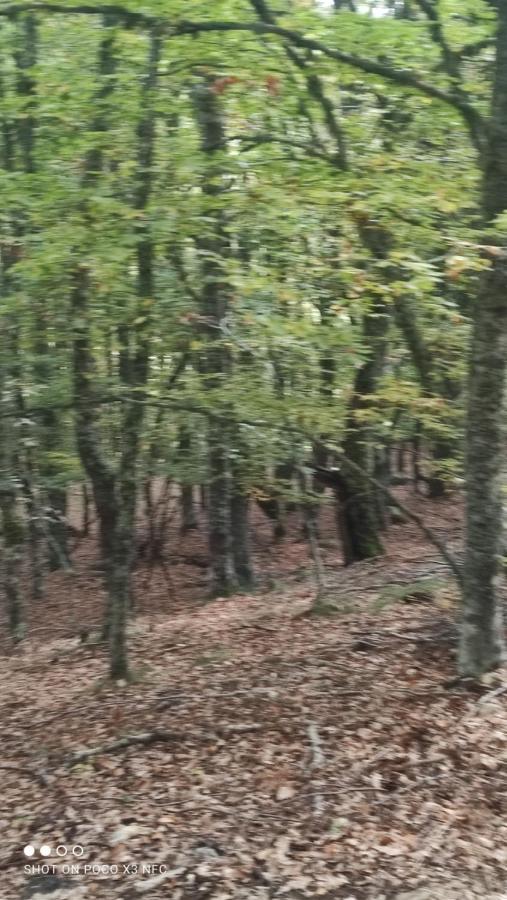 Апартаменты Montes De Lillo --Vut Le 625 Пуэбла-де-Лильо Экстерьер фото